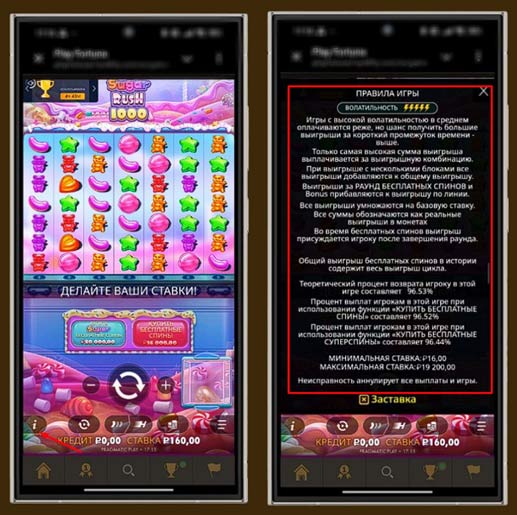 Информация о слоте в казино Play Fortuna